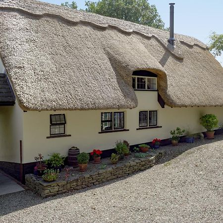 The Cottage Richards Castle Exterior photo